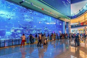DUBAI MALL O que fazer em Dubai